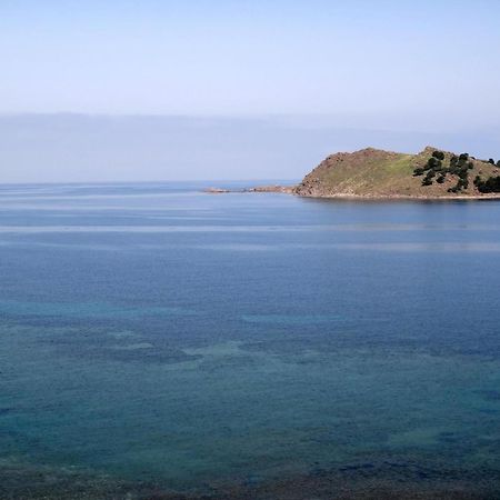 بترا Birds Bay Resort المظهر الخارجي الصورة