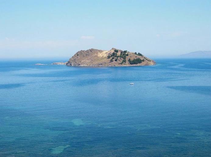 بترا Birds Bay Resort المظهر الخارجي الصورة