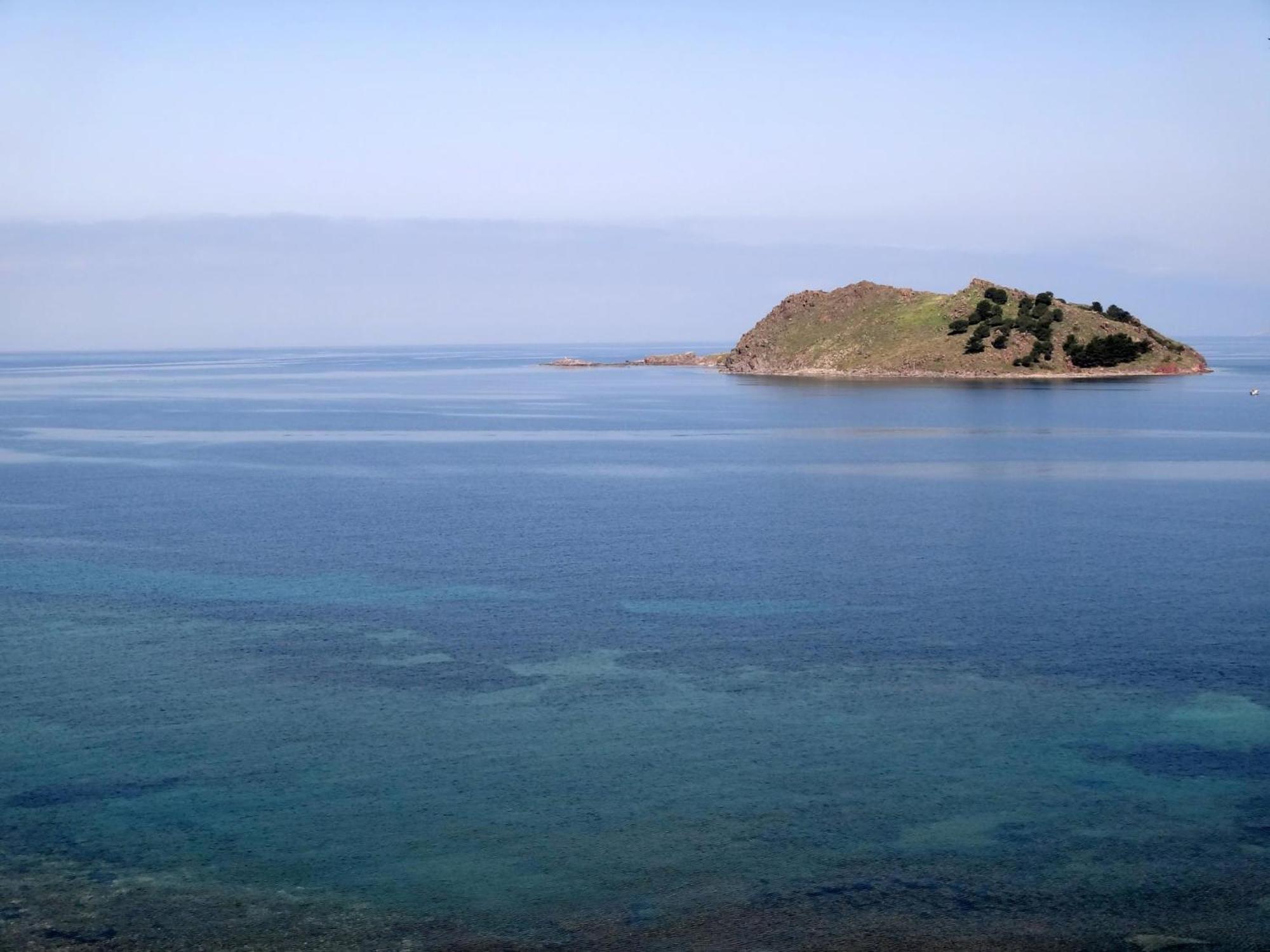 بترا Birds Bay Resort المظهر الخارجي الصورة