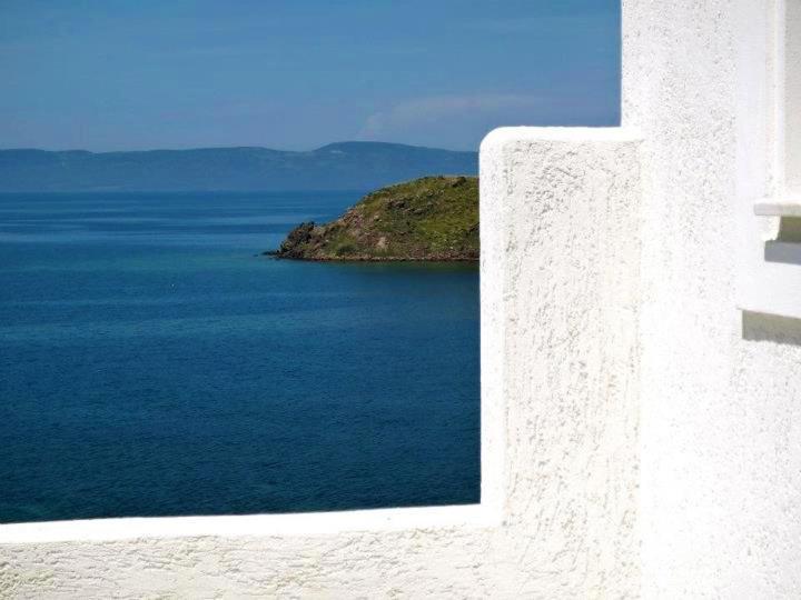 بترا Birds Bay Resort المظهر الخارجي الصورة