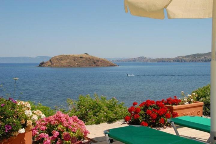 بترا Birds Bay Resort المظهر الخارجي الصورة