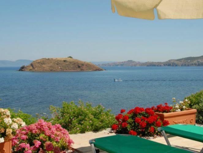بترا Birds Bay Resort الغرفة الصورة