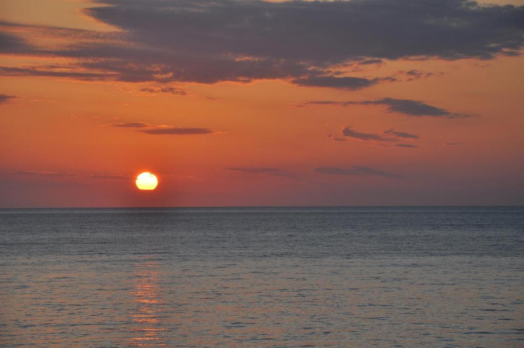 بترا Birds Bay Resort المظهر الخارجي الصورة